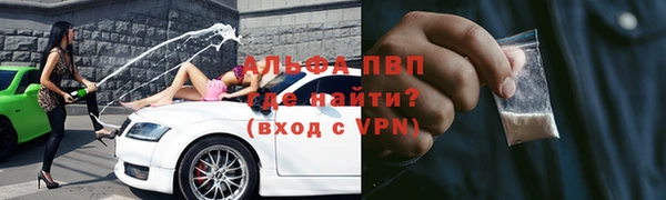 эйфоретик Инсар