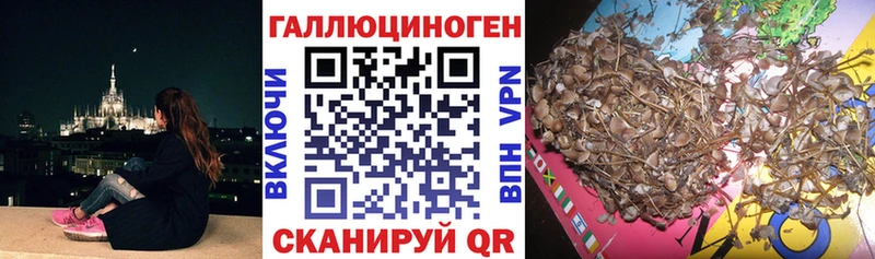 Псилоцибиновые грибы мухоморы  Купить  Галич 